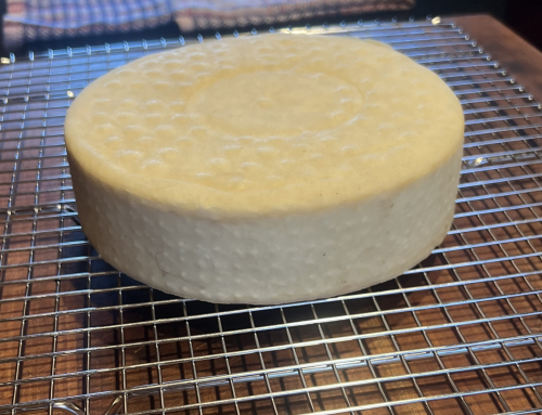 Sailing the Seas of Cheese