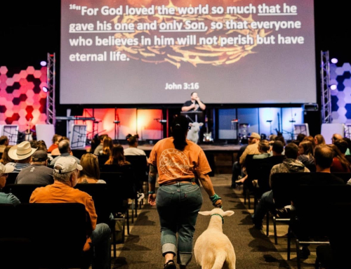 A Lamb of God